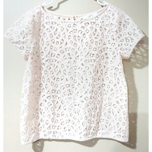 Romantic Blush Pink LOFT Lace Blouse SP